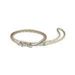 Leather and Reflector Dog Leash - Small