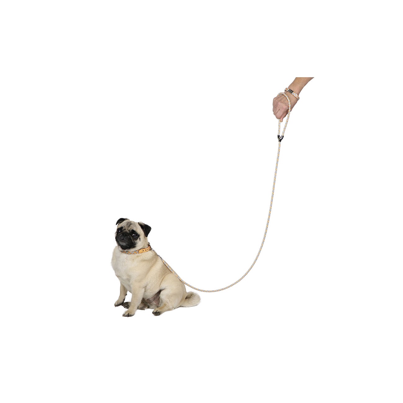 Leather and Reflector Dog Leash - Small