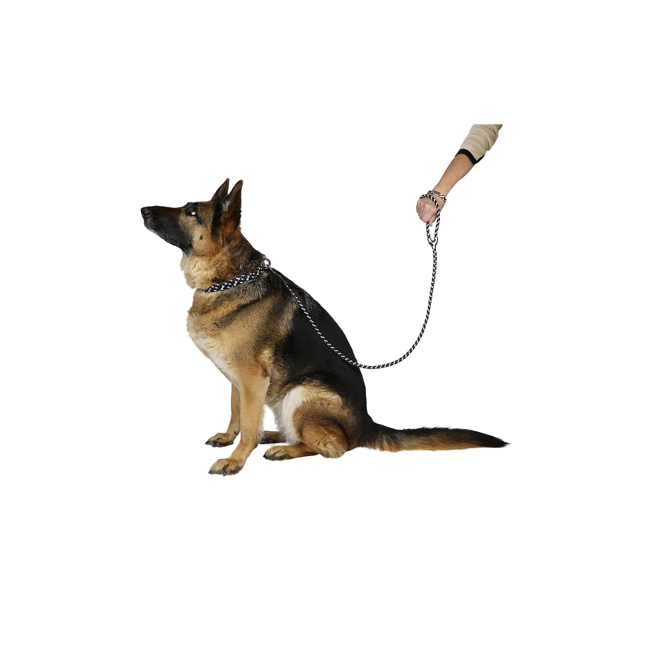 Leather and Reflector Dog Leash - Medium