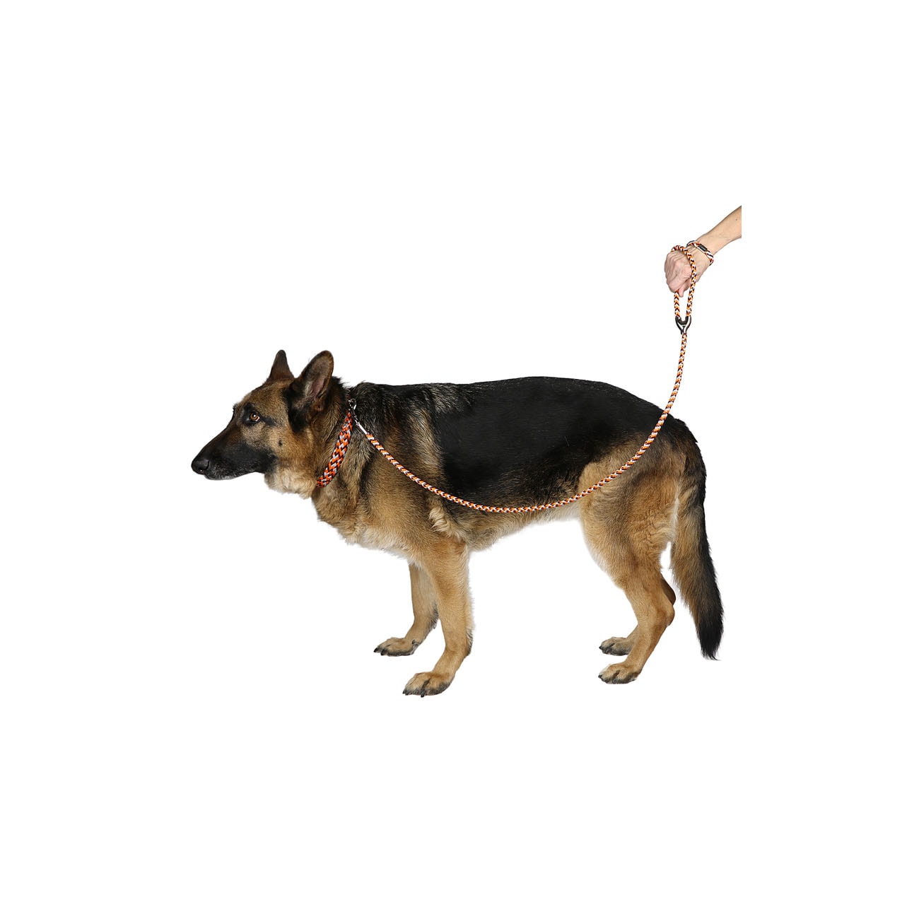 Leather and Reflector Dog Leash - Medium