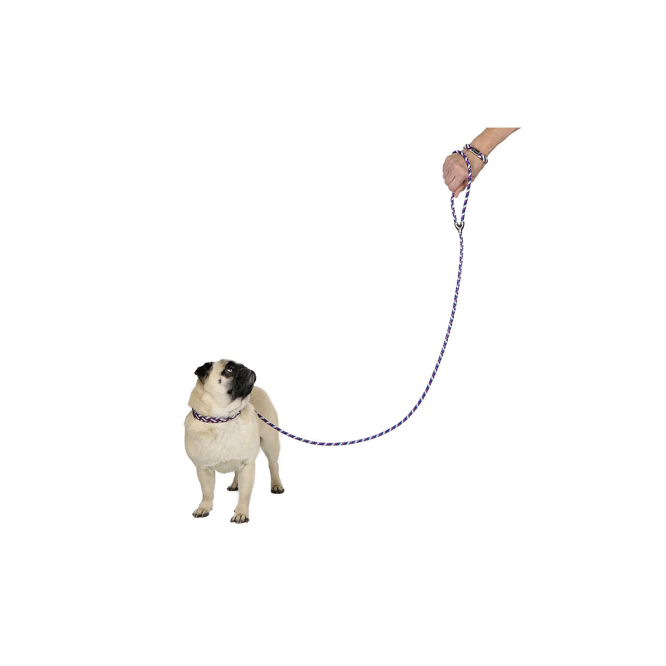 Leather and Reflector Dog Leash - Small